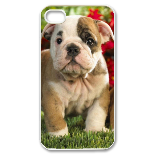 little dog Case for iPhone 4,4S