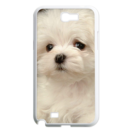 bichon frise Case for Samsung Galaxy Note 2 N7100