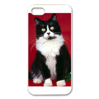 young cat Case for Iphone 5