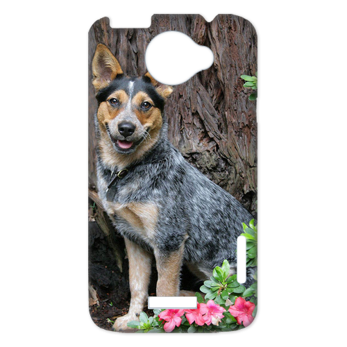 wild dog Case for HTC One X +